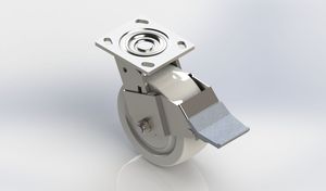 6x2 450kgs 304 Stainless Steel Swivel Caster